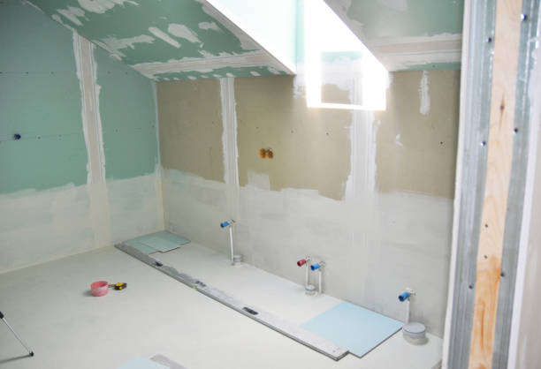Best Attic Mold Removal  in Maunawili, HI