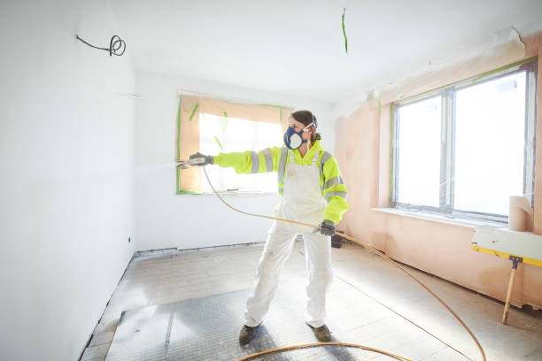 Best Environmental Consulting for Mold Prevention  in Maunawili, HI