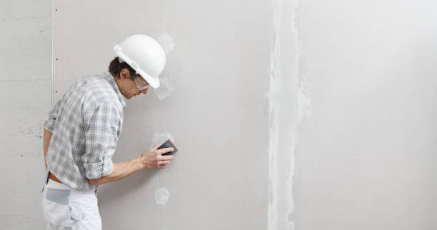 Professional Mold Removal in Maunawili, HI