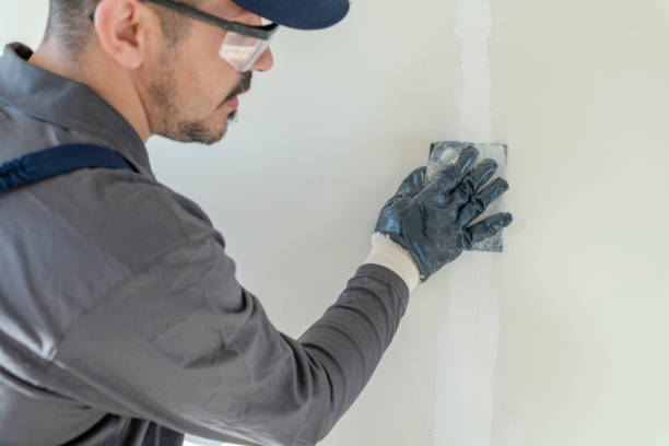 Best Comprehensive Air Testing for Mold Contaminants  in Maunawili, HI