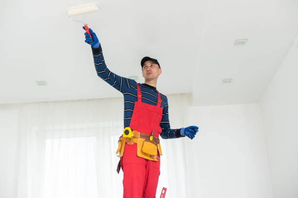 Best Mold Remediation for Healthcare Facilities  in Maunawili, HI