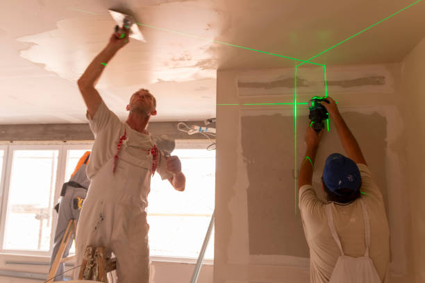 Best Biohazard Mold Removal  in Maunawili, HI