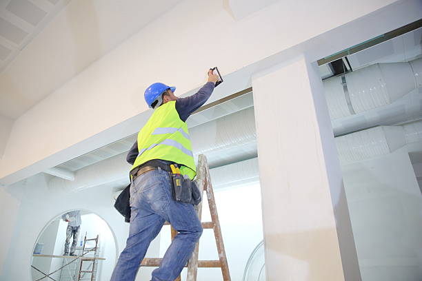 Best Mold Documentation for Insurance Claims  in Maunawili, HI
